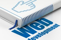 Magento development